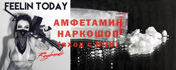 крисы Елабуга