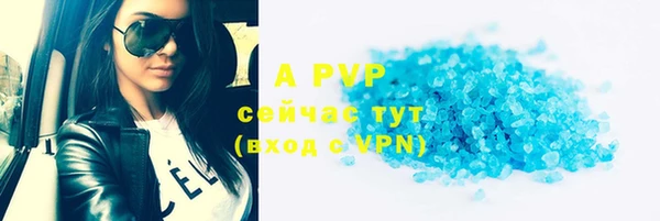 крисы Елабуга
