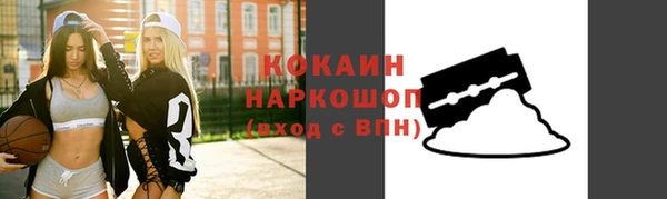 крисы Елабуга