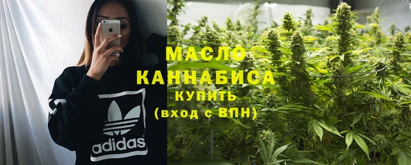 крисы Елабуга