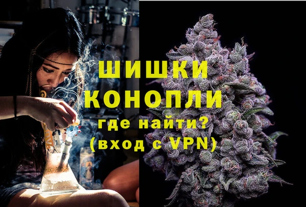 крисы Елабуга