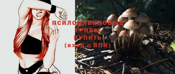 прущая мука Елизово