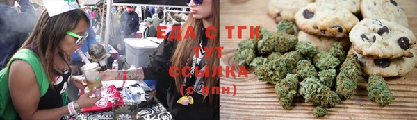 крисы Елабуга