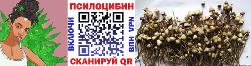 Галлюциногенные грибы MAGIC MUSHROOMS  Куса 
