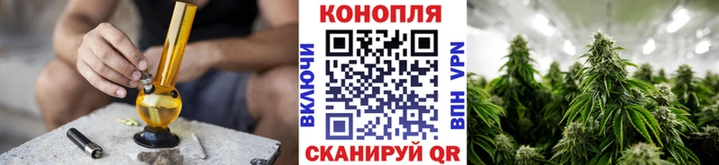 Конопля Bruce Banner  Куса 